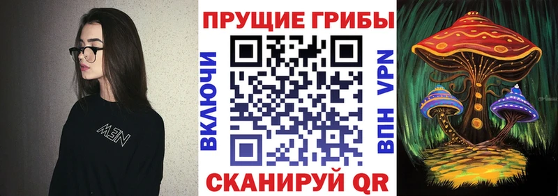 Галлюциногенные грибы GOLDEN TEACHER  Тулун 