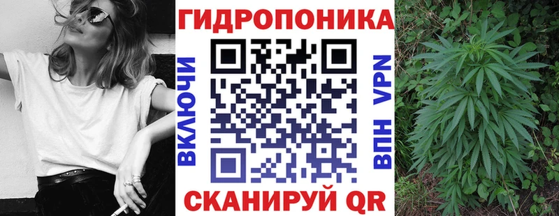 хочу наркоту  Тулун  Марихуана тримм 